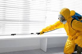 Best Indoor Pest Control  in Seal Beach, CA